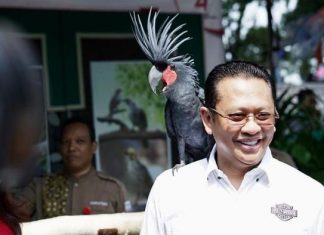 Terpilih Jadi Ketua MPR, Bamsoet Punya Harta Rp 98 M Bamsoet
