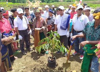 Hari Menanam Pohon, 6000 Pohon untuk Kabupaten Sumba Barat Daya dan Sumba Barat