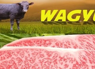 BIB Lembang Dukung Ketersediaan Sapi Wagyu di Indonesia
