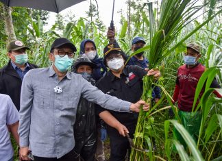 Makin Nyata Hutan Sosial Dengan Pembangunan Wilayah Terpadu