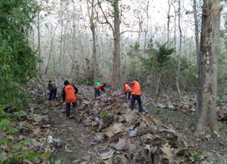 Akses Jalan di Tengah Hutan, Menangkal Dampak Buruk Karhutla