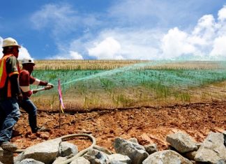 Mendaulat Revegetasi Lahan Untuk Perubahan Iklim
