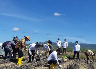 Program Kemitraan, Menarik Orang Muda Menjadi Petani